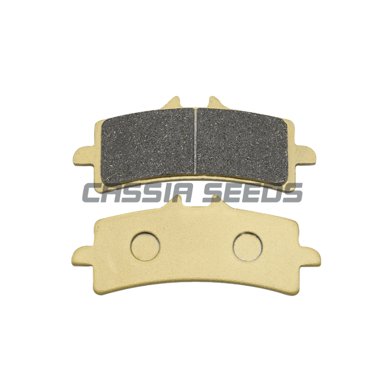 Pastillas de freno delanteras  - Carbon Ceramic Motorcycle Brake Rotor reseña y precio